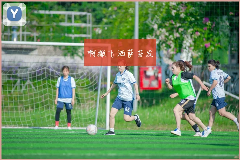 如何观看残奥会直播:转播平台与精彩赛事推荐